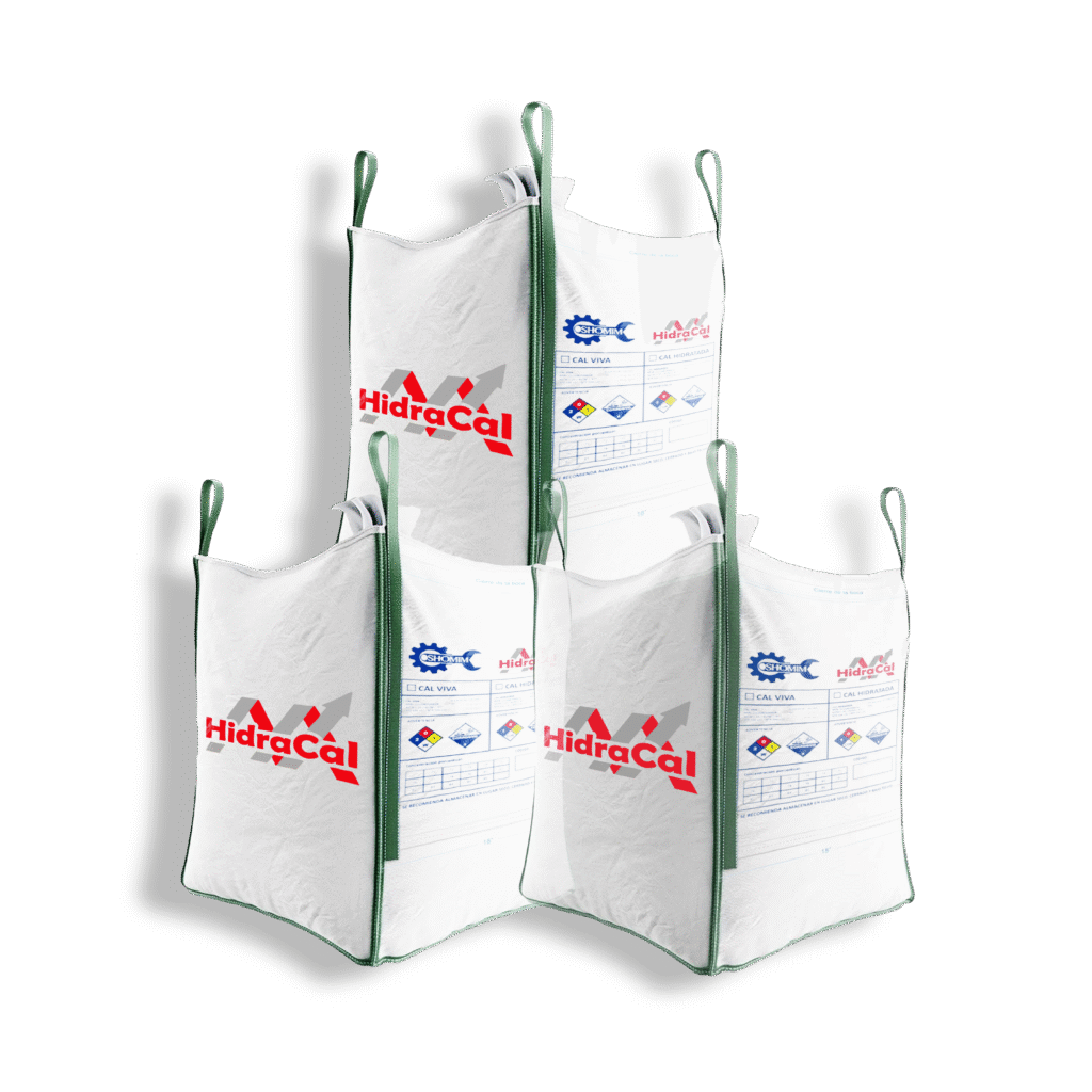 cacscc mesa de trabajo 1